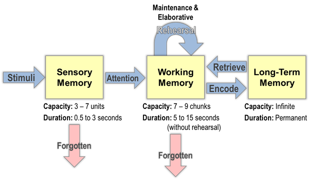 What Are The Levels Of Processing Theory?